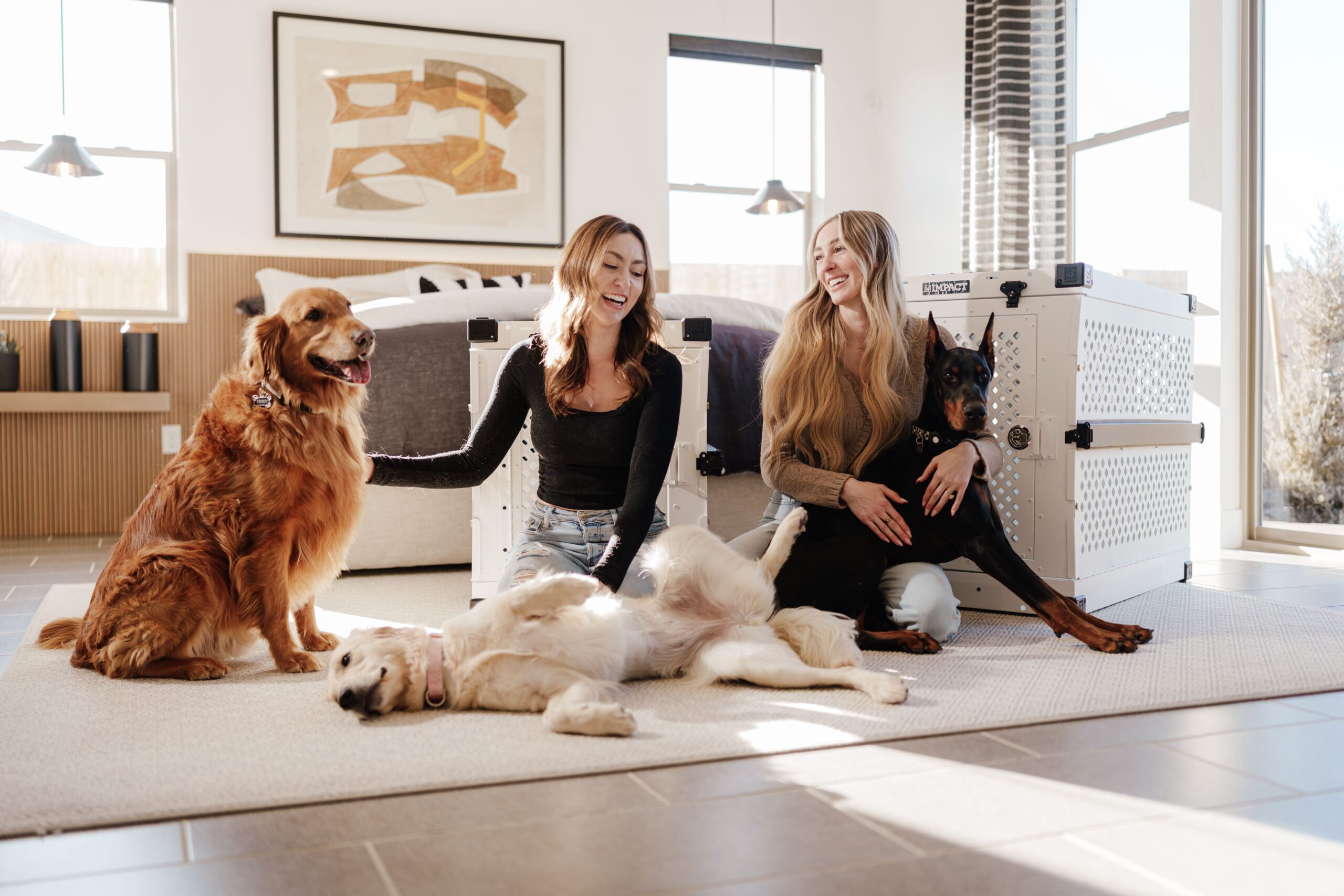 Pet Products